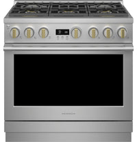 Monogram Stainless Steel Range-ZDP366NTSS