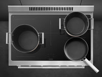 Smeg 4.6 Cu. Ft. Professional Induction Range - SPR36UIMX|Cuisinière professionnelle à induction Smeg de 4,6 pi3 - SPR36UIMX